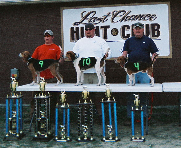 Championship hunt 2007-08